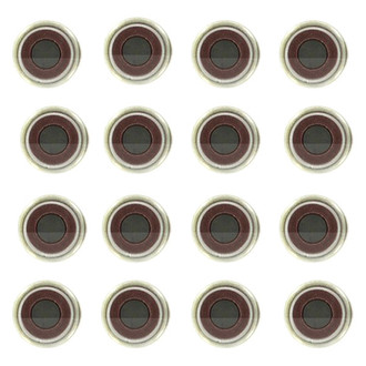 Apex Auto® - Valve Stem Seal Set
