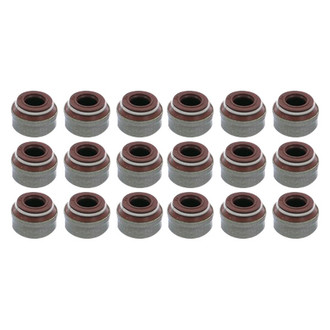 Apex Auto® - Engine Valve Stem Seal Set