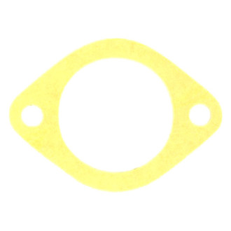 Apex Auto® - Engine Coolant Thermostat Housing Seal