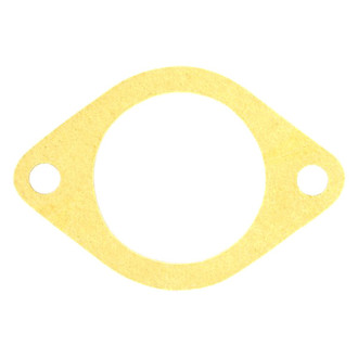 Apex Auto® - Engine Coolant Thermostat Housing Seal with 2 Holes