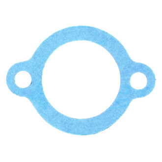 Apex Auto® - Engine Coolant Thermostat Housing Seal