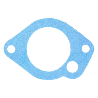 Apex Auto® - Engine Coolant Thermostat Housing Seal