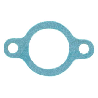 Apex Auto® - Engine Coolant Thermostat Housing Seal