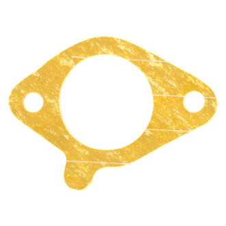 Apex Auto® - Engine Coolant Thermostat Housing Seal