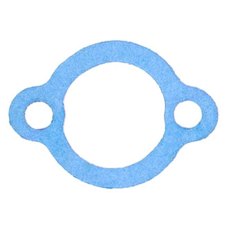 Apex Auto® - Engine Coolant Thermostat Housing Seal