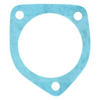 Apex Auto® - Engine Coolant Thermostat Housing Seal