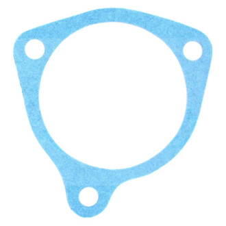 Apex Auto® - Engine Coolant Thermostat Housing Seal