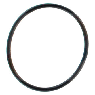 Apex Auto® - Engine Coolant Thermostat Housing Seal