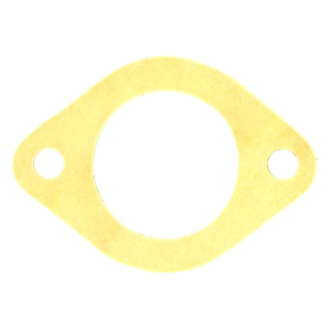 Apex Auto® - Engine Coolant Thermostat Housing Seal