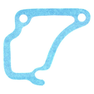 Apex Auto® - Engine Coolant Thermostat Housing Seal