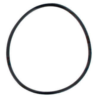 Apex Auto® - Engine Coolant Thermostat Housing Seal