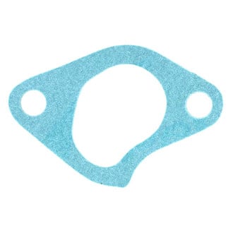 Apex Auto® - Engine Coolant Thermostat Housing Seal