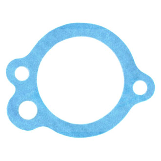Apex Auto® - Engine Coolant Thermostat Housing Seal