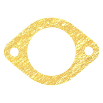 Apex Auto® - Engine Coolant Thermostat Housing Seal