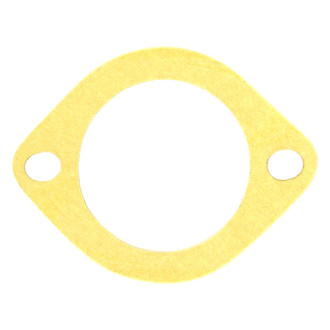 Apex Auto® - Engine Coolant Thermostat Housing Seal