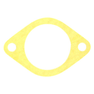 Apex Auto® - Engine Coolant Thermostat Housing Seal