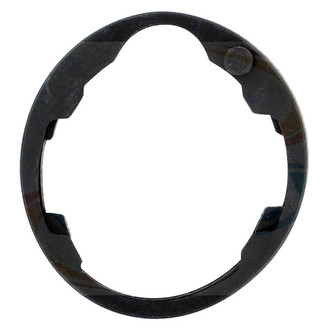Apex Auto® - Engine Coolant Thermostat Housing Seal