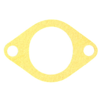 Apex Auto® - Engine Coolant Thermostat Housing Seal