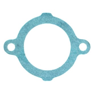 Apex Auto® - Engine Coolant Thermostat Housing Seal