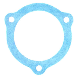 Apex Auto® - Engine Coolant Thermostat Housing Seal