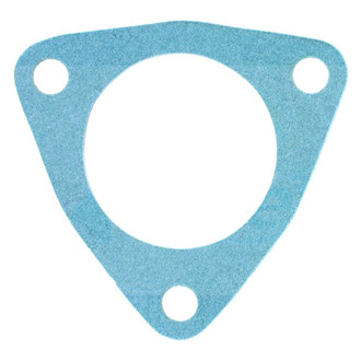 Apex Auto® - Engine Coolant Thermostat Seal