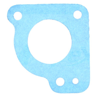 Apex Auto® - Engine Coolant Thermostat Seal