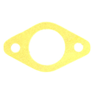 Apex Auto® - Engine Coolant Thermostat Seal