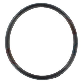 Apex Auto® - Engine Coolant Thermostat Housing Seal