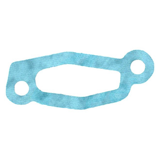 Apex Auto® - Engine Coolant Thermostat Seal
