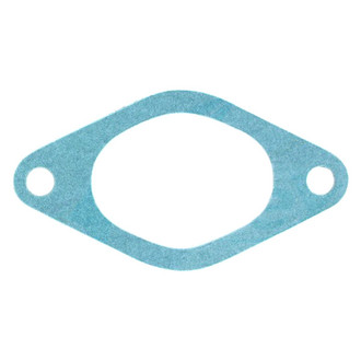 Apex Auto® - Engine Coolant Thermostat Seal