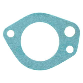 Apex Auto® - Engine Coolant Thermostat Housing Seal