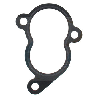 Apex Auto® - Engine Coolant Thermostat Seal