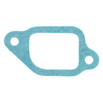 Apex Auto® - Engine Coolant Thermostat Housing Seal
