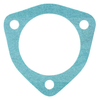 Apex Auto® - Engine Coolant Thermostat Seal