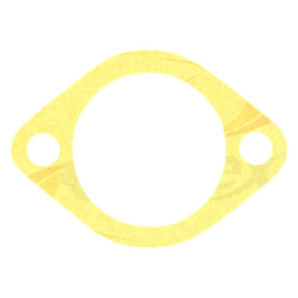 Apex Auto® - Engine Coolant Thermostat Seal