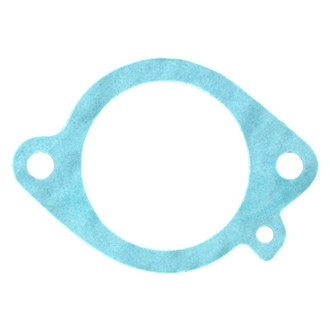 Apex Auto® - Engine Coolant Thermostat Seal
