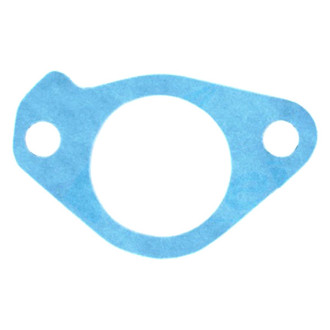 Apex Auto® - Engine Coolant Thermostat Seal
