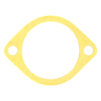 Apex Auto® - Engine Coolant Thermostat Seal