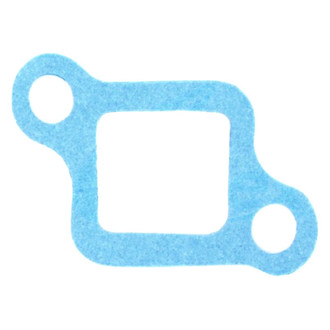 Apex Auto® - Engine Coolant Thermostat Housing Seal