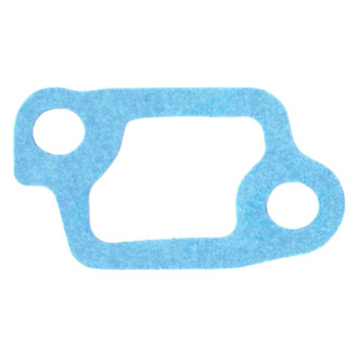 Apex Auto® - Engine Coolant Thermostat Housing Seal