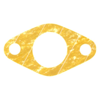 Apex Auto® - Engine Coolant Thermostat Housing Seal