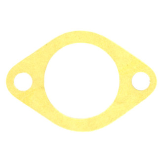 Apex Auto® - Engine Coolant Thermostat Housing Seal