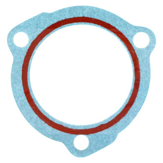 Apex Auto® - Engine Coolant Thermostat Seal