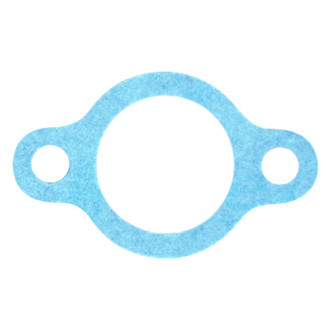 Apex Auto® - Engine Coolant Thermostat Seal