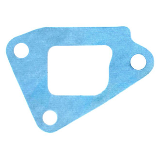 Apex Auto® - Engine Coolant Thermostat Seal
