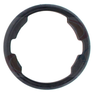 Apex Auto® - Engine Coolant Thermostat Seal