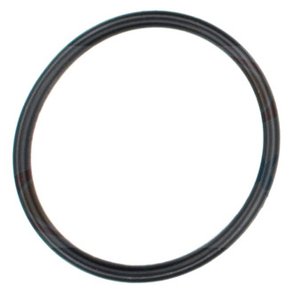 Apex Auto® - Engine Coolant Thermostat Seal