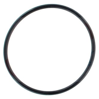 Apex Auto® - Engine Coolant Thermostat Housing O-Ring