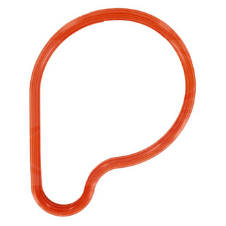 Apex Auto® - Engine Coolant Thermostat Seal