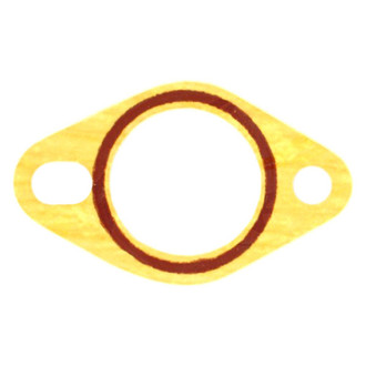 Apex Auto® - Engine Coolant Thermostat Seal